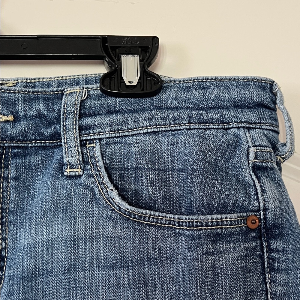 Pilcro and the Letter Press | (29) Slim Boyfriend Denim Shorts - Picture 4 of 8